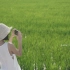 海南旅行 | 超级日系小清新，30秒迷你旅vlog～～三亚海棠湾沿途的稻田
