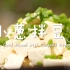 让人垂涎五千尺的下酒菜小葱拌豆腐居然这么简单啊！