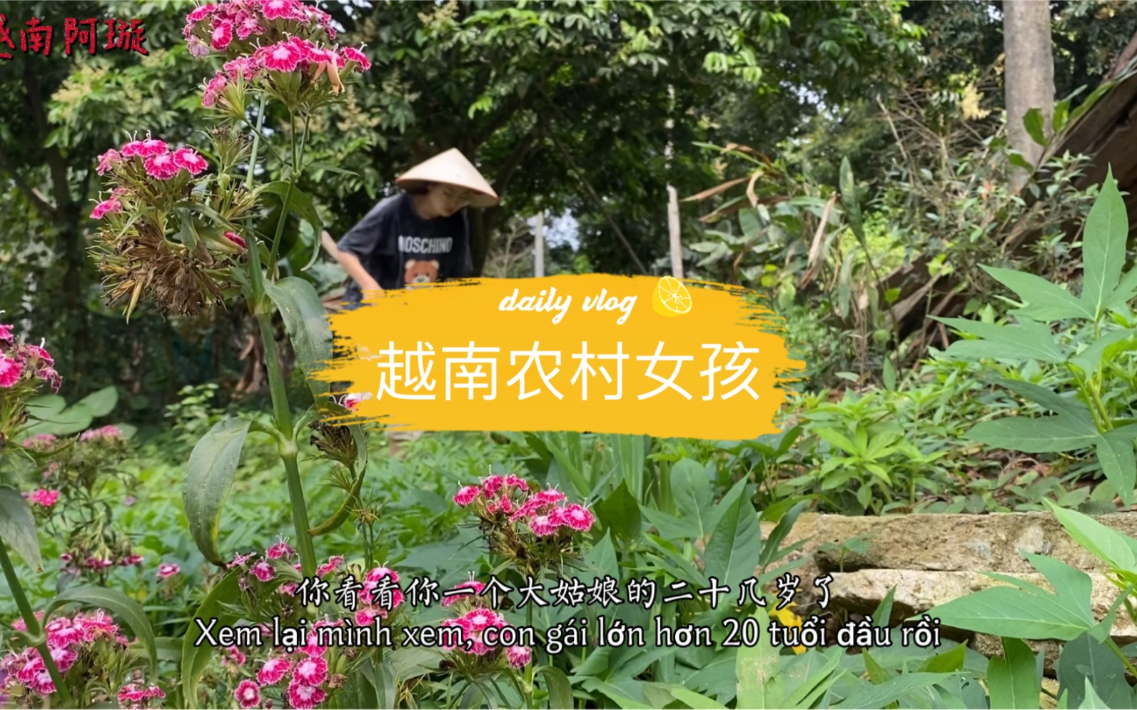 我是阿璇来自越南农村这是我喜欢的生活