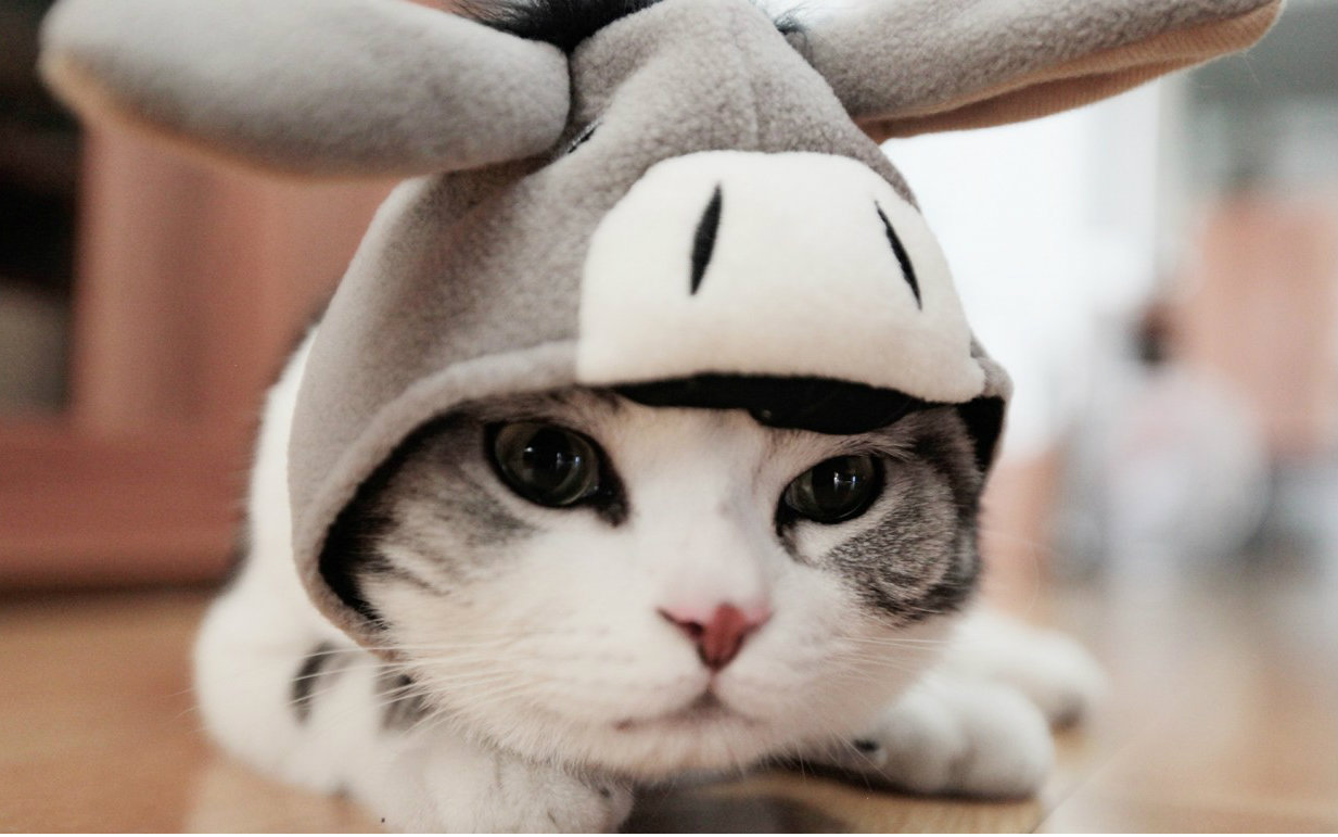 来首歌舒缓一下心情视频在线观看