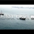 乘风破浪——FIFISH PRO W6工业级水下智能聚合平台