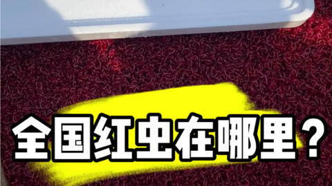 089532d2c65e03f6800e1c2d5efeec48c62bf16d.jpg@480w_270h_1c