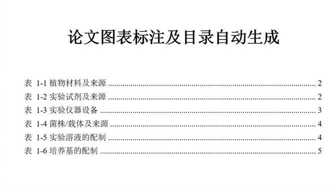 图表标注设置及插图清单、表格清单目录自动生成