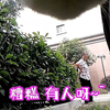 哎哟，小猫咪你叫的好“难听”啊？猫：您误会了，这才是我的叫声