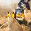 人兽大战
