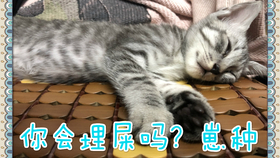 08be1486f82e7c0b377546cf8d88e022659b6101.png@280w_158h_1c_100q.jpg