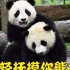【大熊猫】雅幼姐弟怼架配音..小.仙女熊设毁了！
