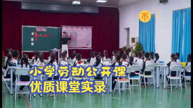 小学劳动优质课堂实录教学能手劳动微课