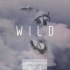 【1080P】Wild - Monogem