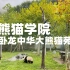 [雅客行] 卧龙 | 中华大熊猫苑神树坪基地~卧龙自然保护区内的熊猫学堂