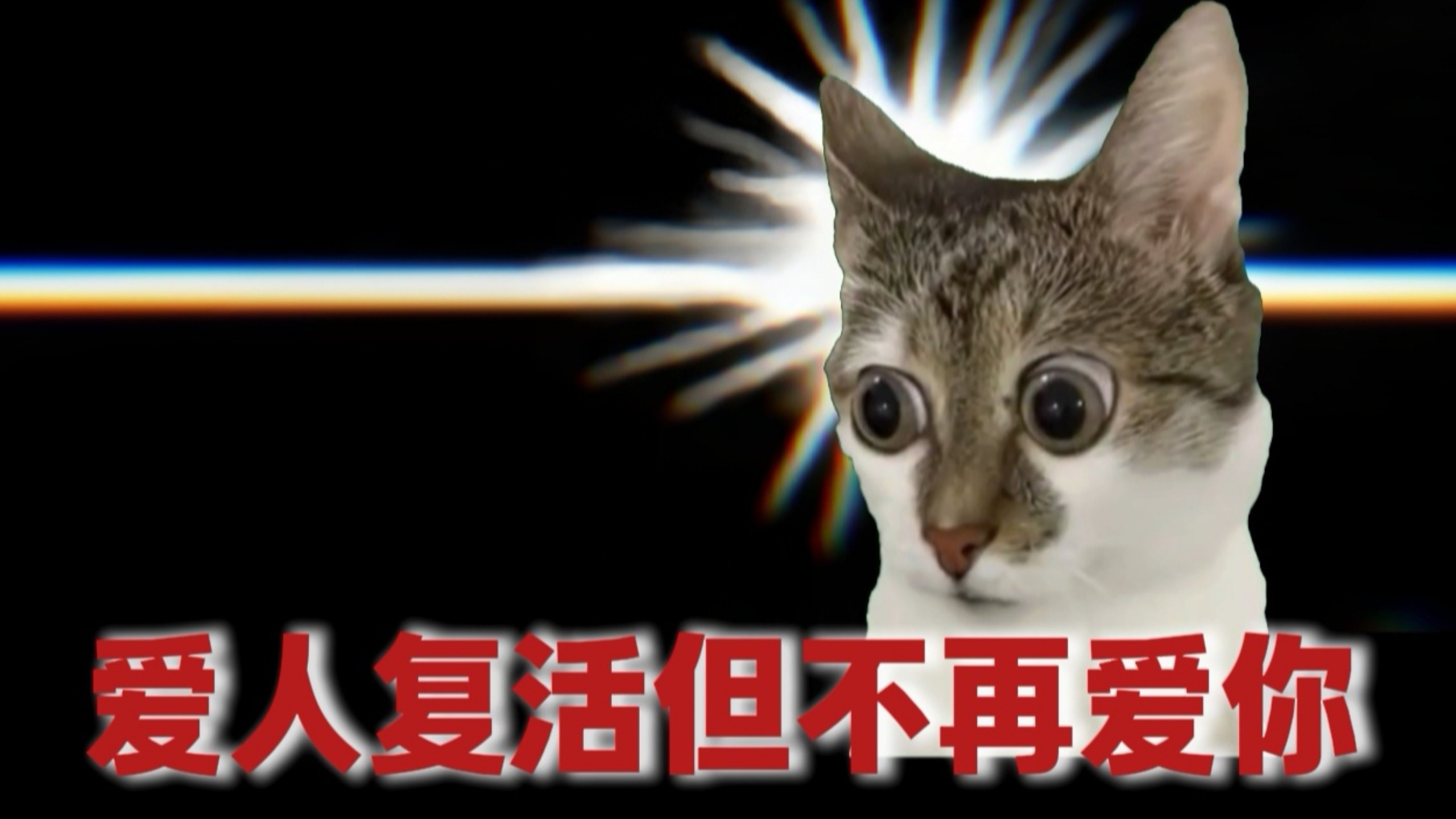 接受ta的死亡还是接受他不再爱你