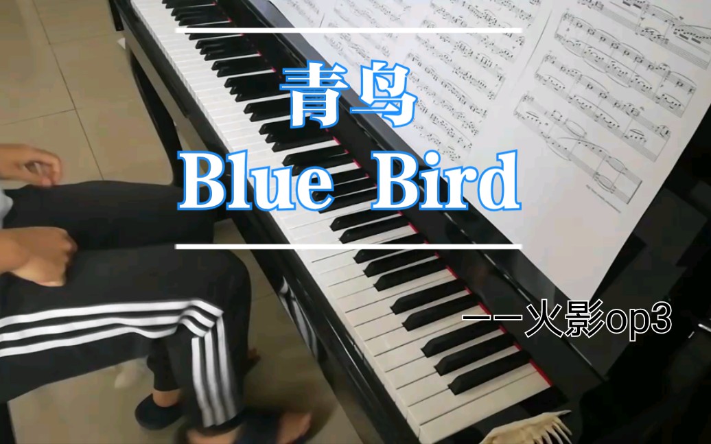 青鸟bluebirdanimenz版火影忍者疾风传op3练习wcy钢琴