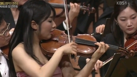 nineile小提琴谱_柴可夫斯基的假日游记 Janine Jansen演奏 佛罗伦萨的回忆 附小提琴谱