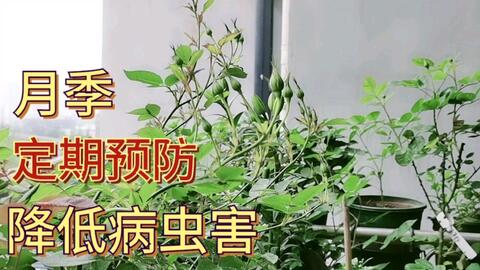 092019ce0ae82a14dacbe0af9f17f5a64ff066d0.jpg@480w_270h_1c