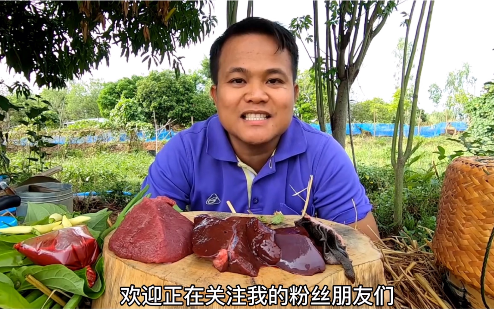 泰国吃播嗯哼哥吃生牛肝生牛肉 中文字幕啦