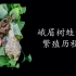 中国两栖动物之美｜峨眉树蛙的繁殖历程