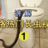 网络热门长虫视频讲解（1）家里厕所进蛇了怎么办?