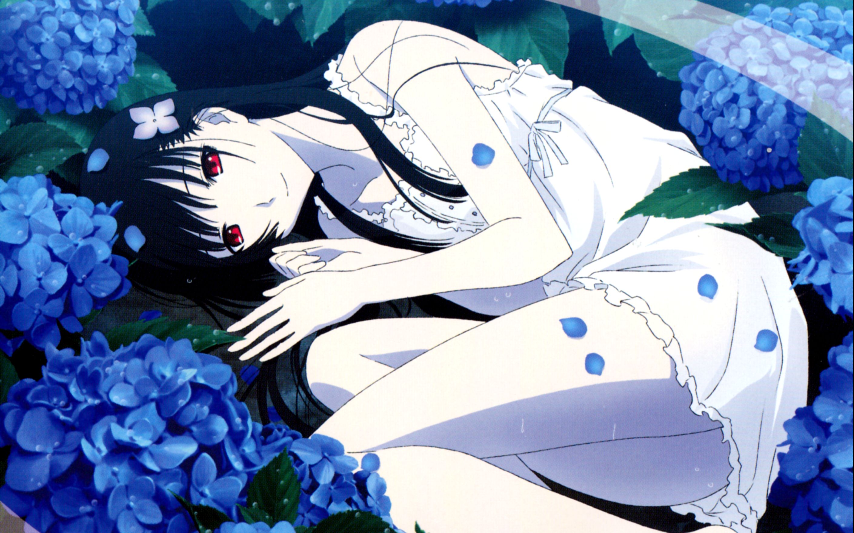 【散华礼弥】ED - Above your hand视频在线观