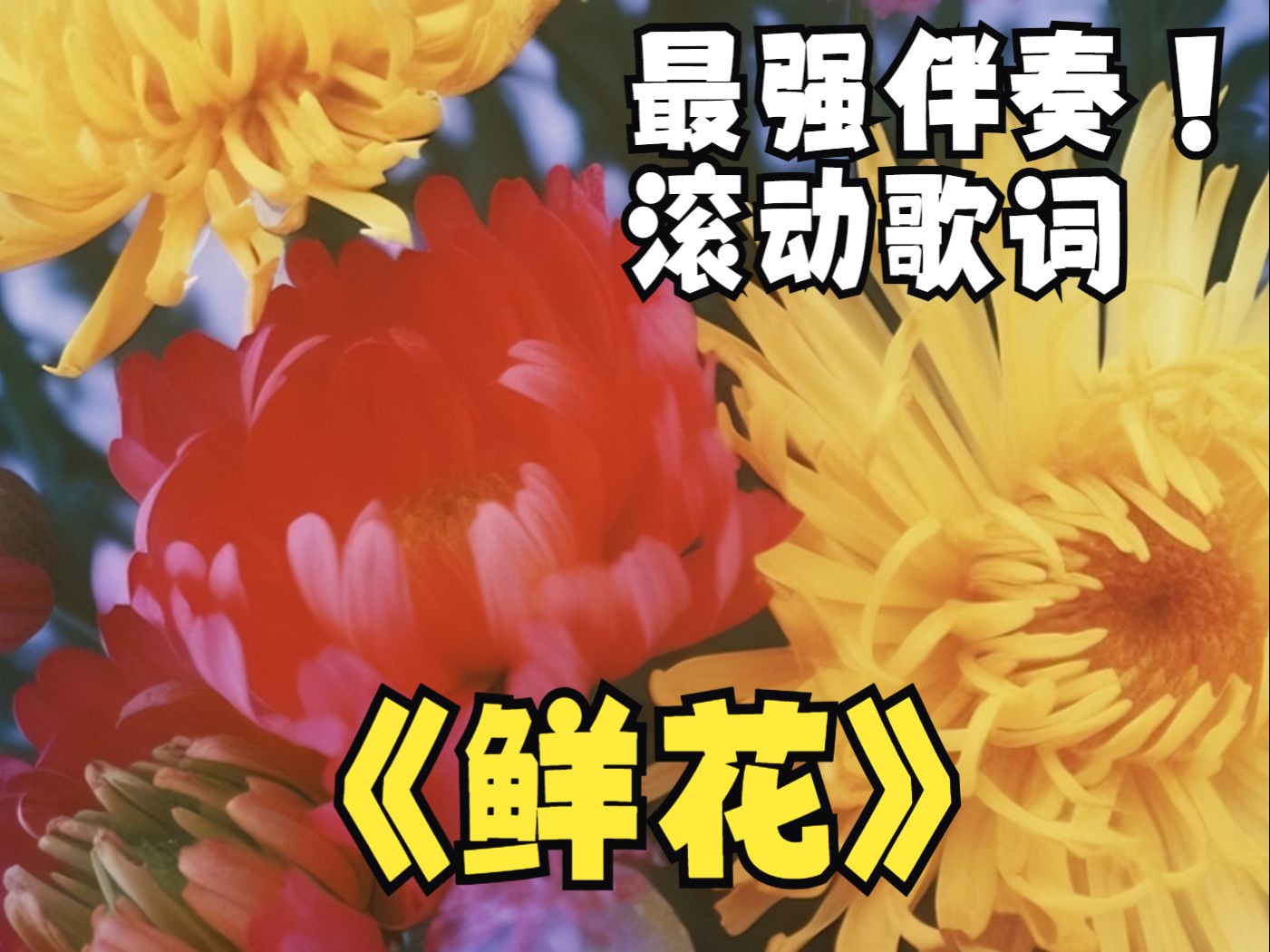 【和声伴奏+滚动歌词】鲜花 - 回春丹