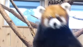 094c91e414b7822ec43a518c7d472b30df316344.jpg@280w_158h_1c_100q.jpg