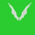 绿幕抠像白色天使翅膀视频素材