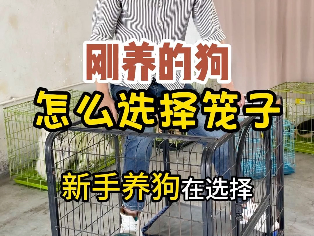 新手养狗在选择笼子的时候，都会犯一个错误，就是喜欢选择一个超大尺寸的，尺寸越大越好，认为大笼子有更多的空间让狗狗在里面玩耍。