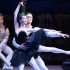 【芭蕾】乐感消失术！莫大首席Olga Smirnova黑天鹅变奏