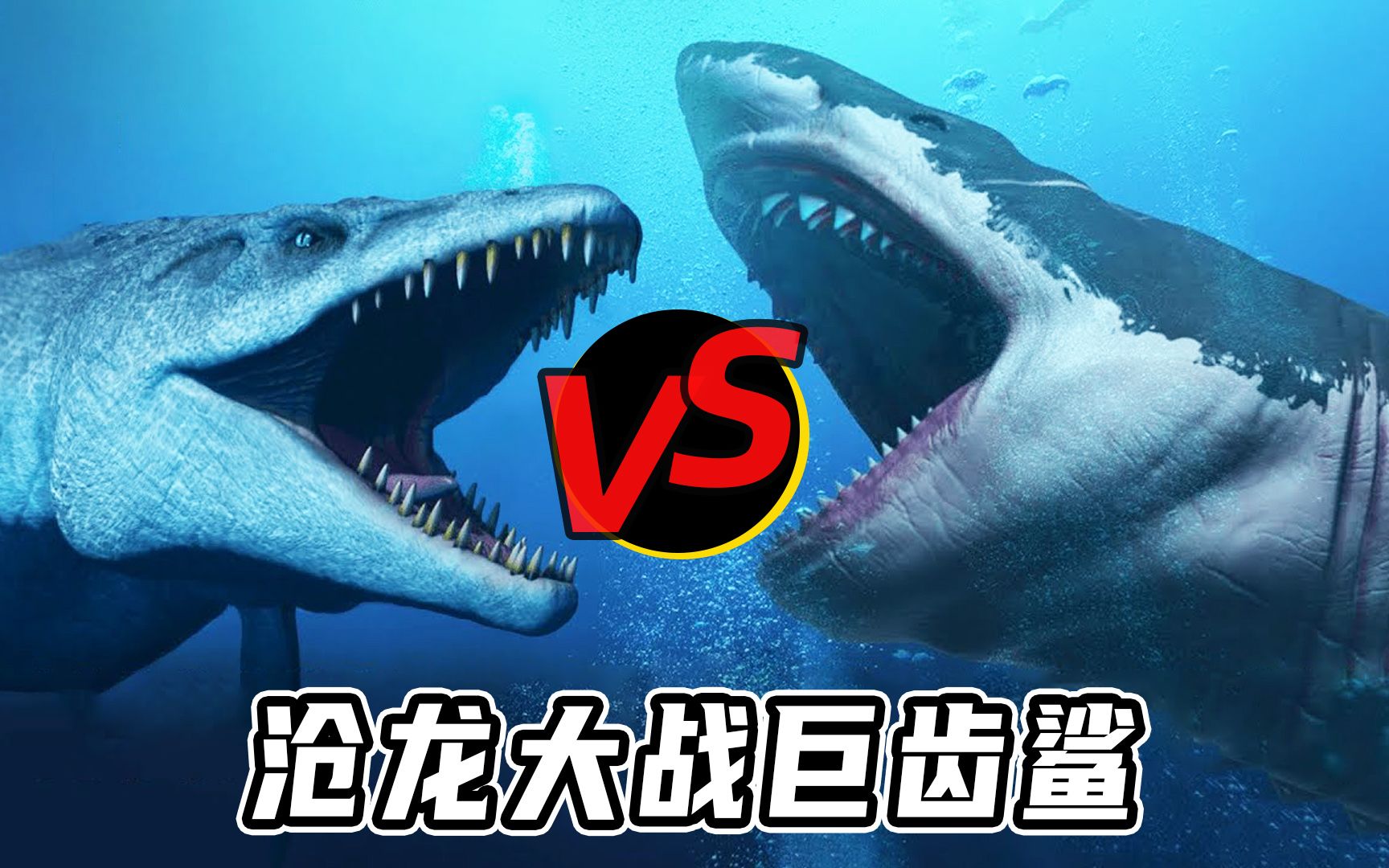 沧龙vs巨齿鲨，从5个维度分析，谁才是真正的海洋霸主？