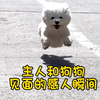 盘点主人和狗狗见面时的感人瞬间，它们虽然不会说话，但是什么都懂