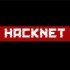 【盖子解说】Hacknet游戏太深了！我居然发现了X档案！