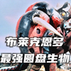 布莱克星派出的第十二号圆盘生物，被誉为“黑色的终结”，纯粹的战斗型圆盘怪兽。《布莱克恩多人物志