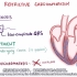 【医理殿堂】限制型心肌病｜Restrictive Cardio-myopathy
