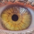 (自用）Amber eyes  | Forced Subliminal 琥珀色眼睛