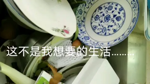 这不是我想要的生活……