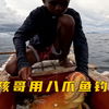 小孩哥用八爪鱼做饵收获满满
