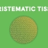什么是分生组织What are Meristematic Tissues