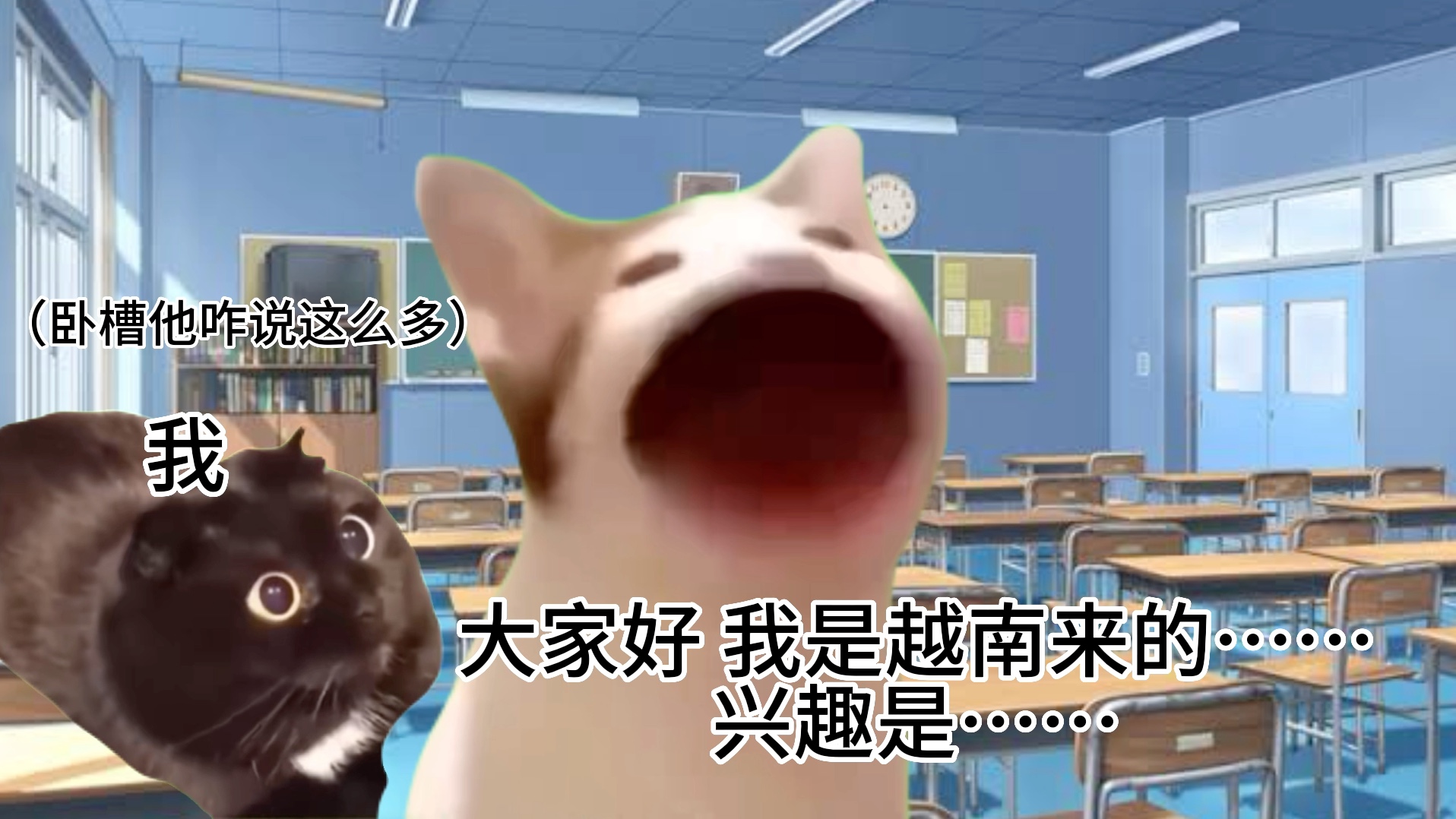 【猫meme】关于去年九月转学到日本，但大家都是很好的人