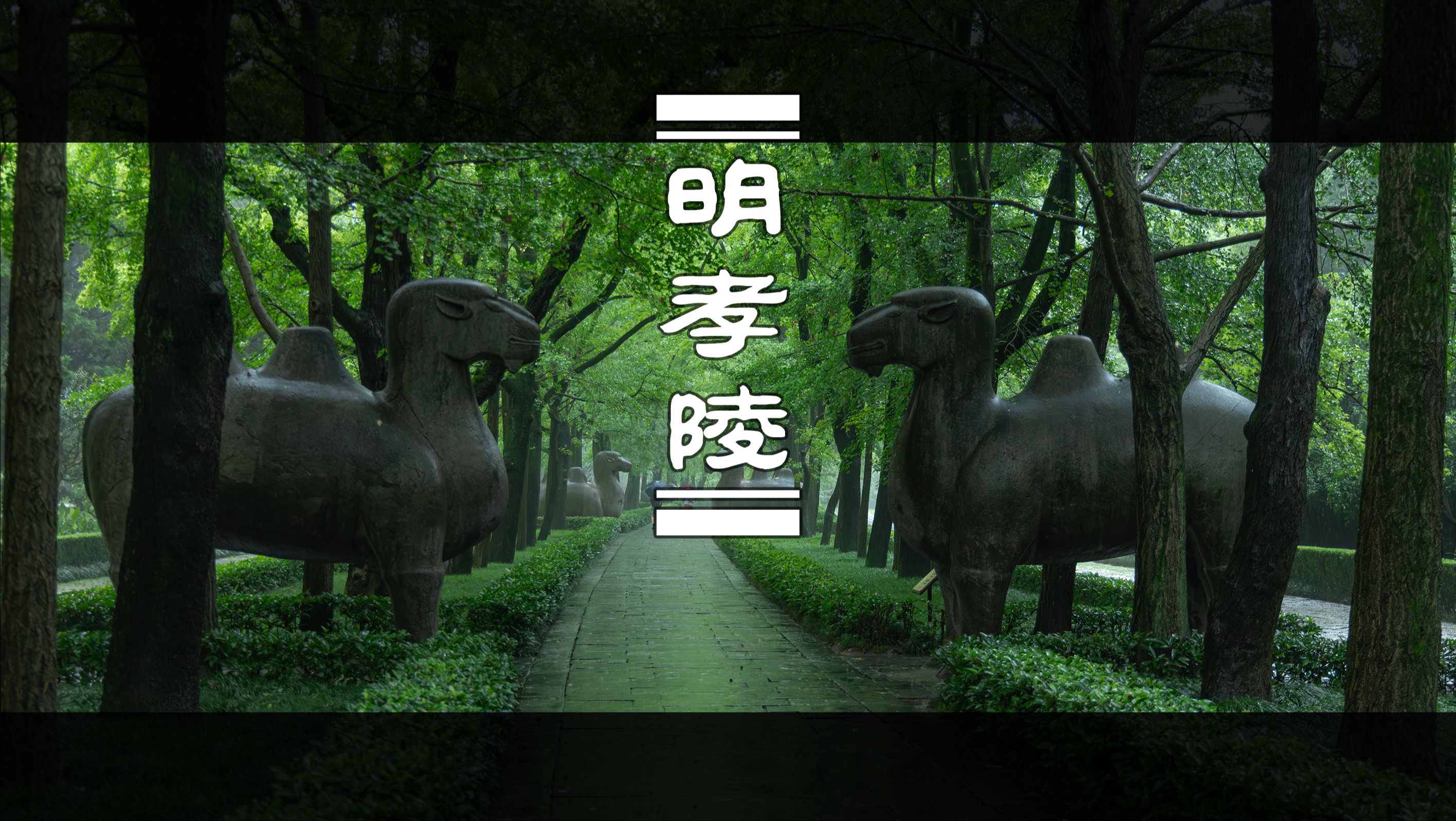 加载失败