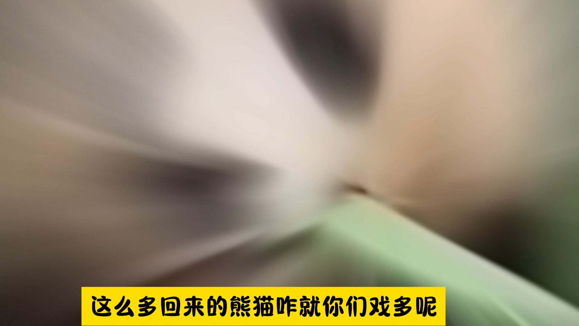 那么爱福宝，都不舍得空运新鲜竹笋，网友：你们给熊猫画饼呢？