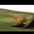【奥斯卡最佳动画短片】无翼鸟，没有翅膀的鸟，通向天堂的飞翔，kiwi