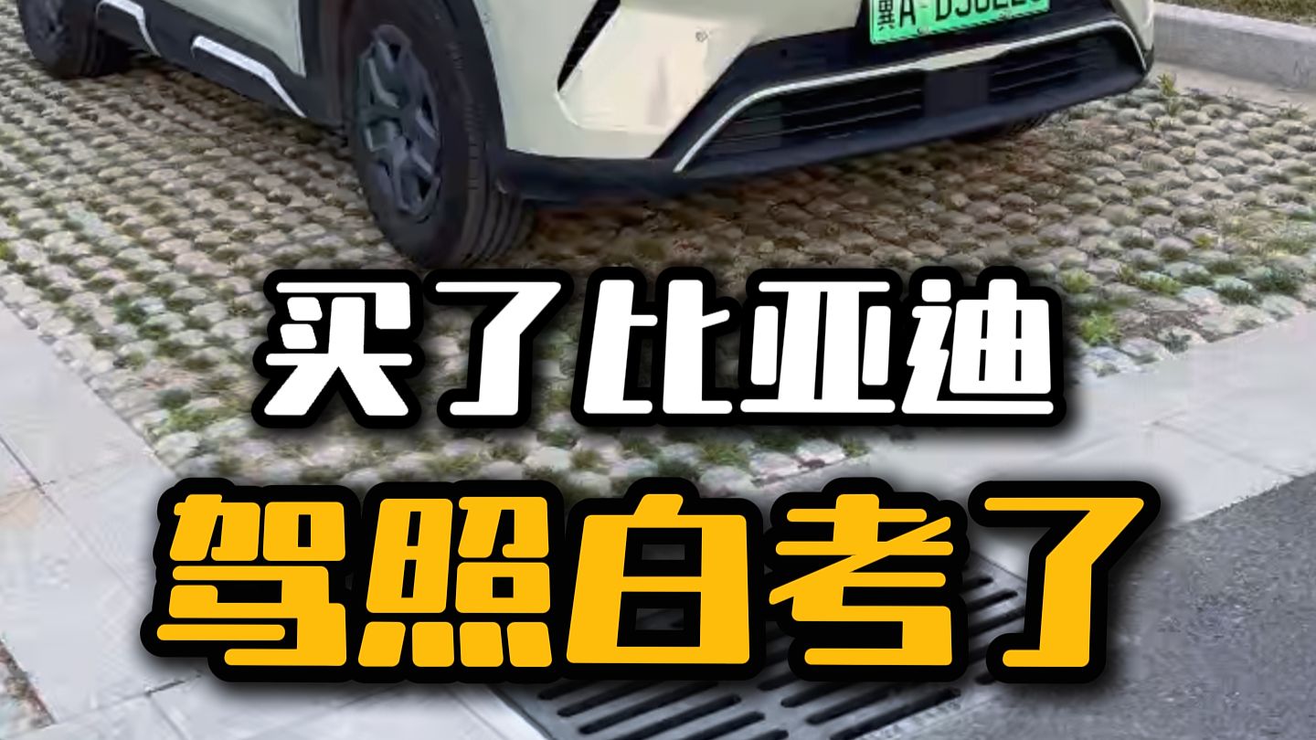 自从买了比亚迪，发现我的驾照都白考了
