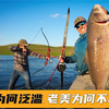 亚洲鲤鱼为何泛滥美国，老美又为何不吃，这个视频告诉你真实原因
