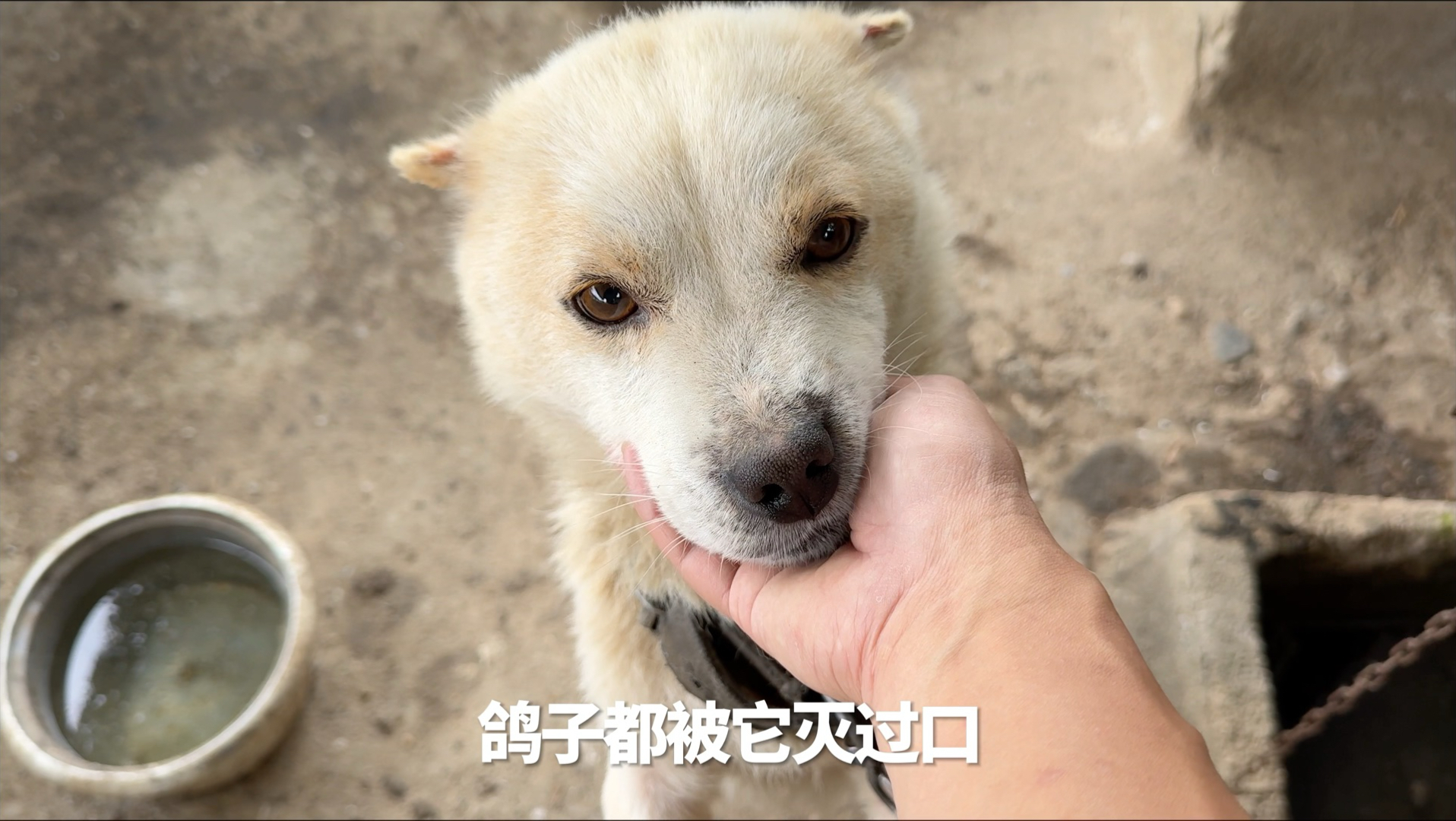 除了我，其他的它都想灭口