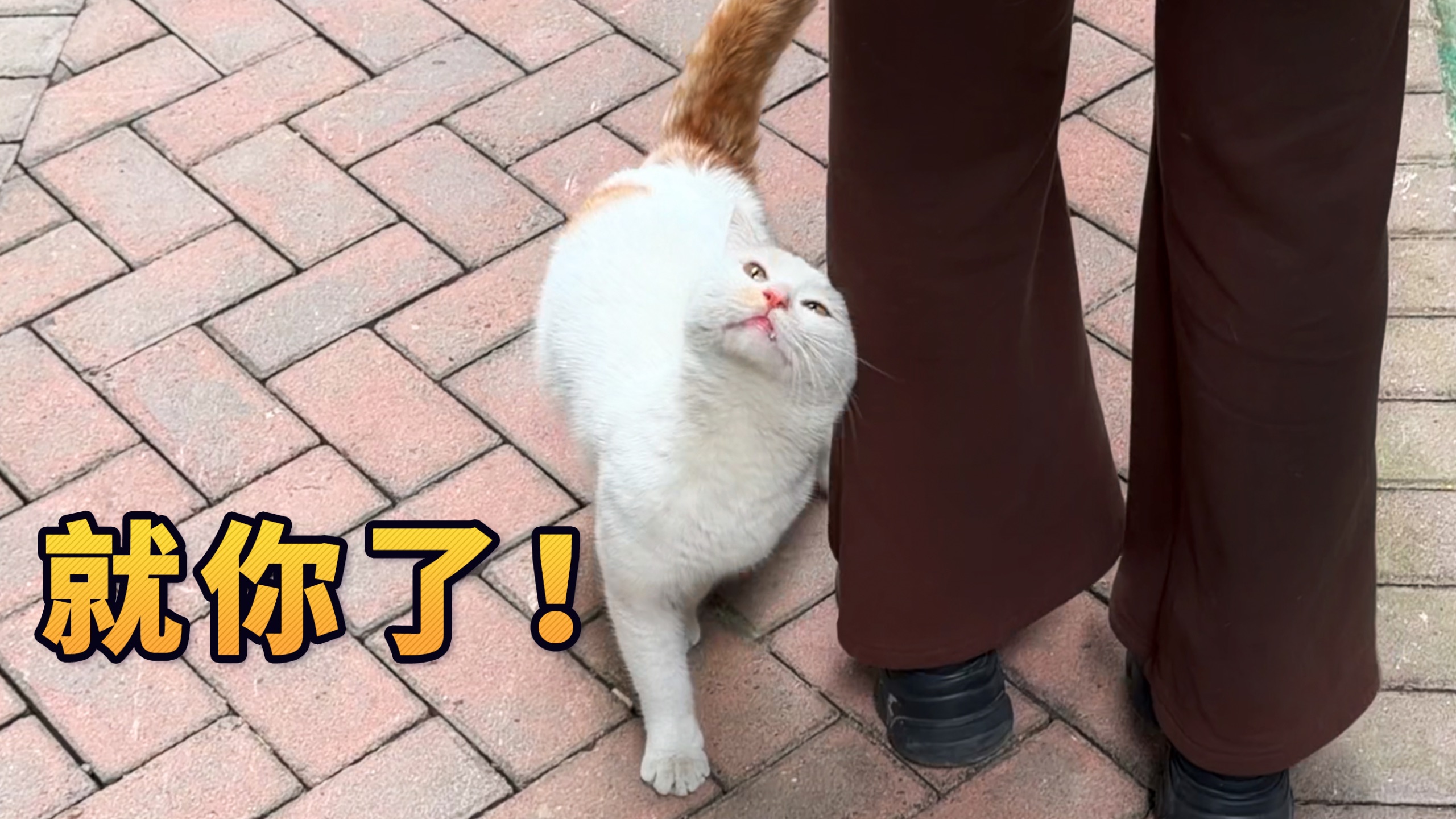 咪：不捡说不过去了吧？！
