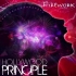 Hollywood Principle __ Firework