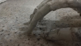 0a37d3fc00140bc408f1e733c0f7f1dc5bd4e8da.jpg@280w_158h_1c_100q.jpg