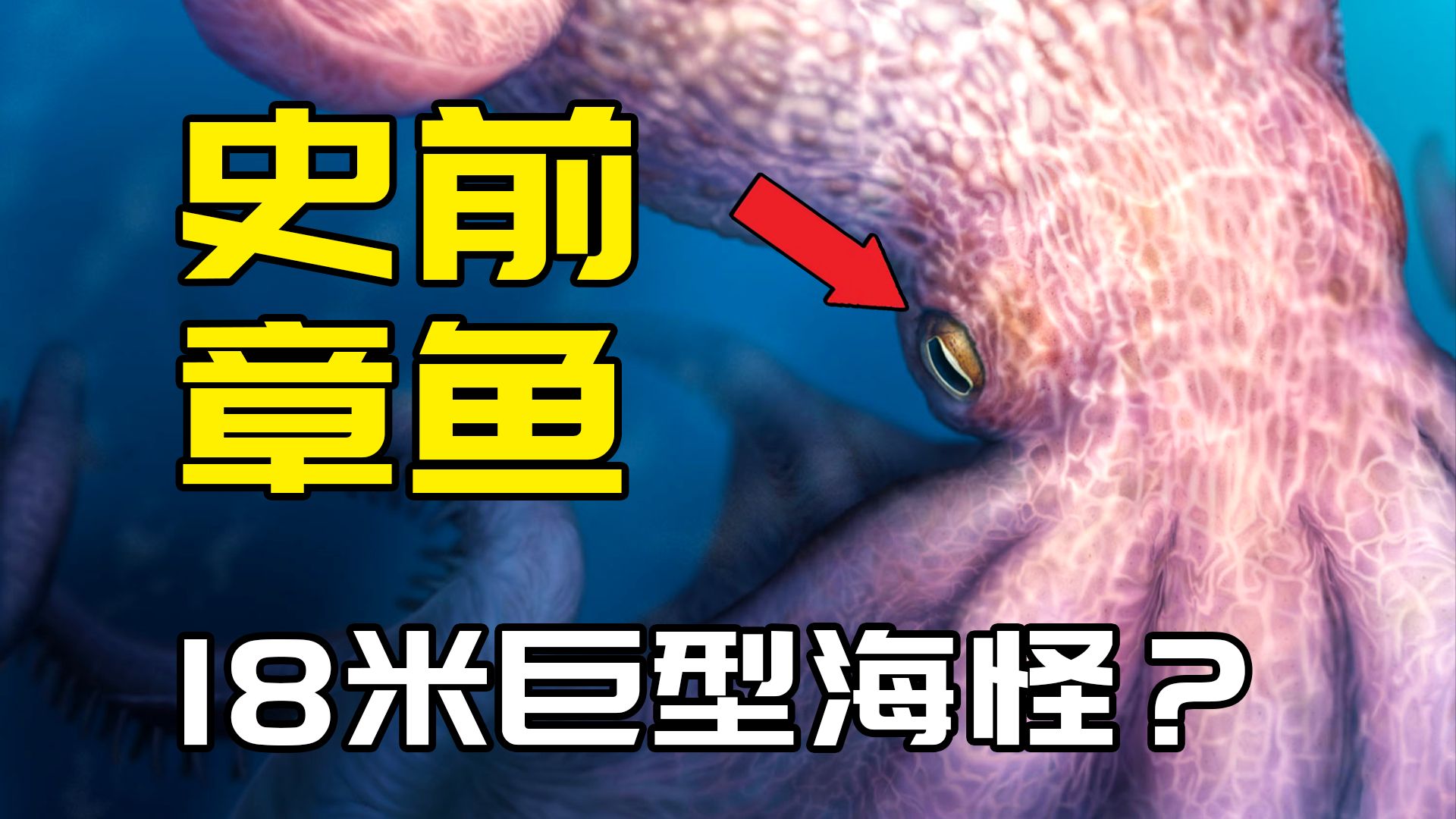 恐龙时代存在18米的巨型章鱼？昆虫的体型和含氧量无关？【朝化析拾31】