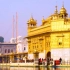 风景素材：印度黄金庙，一切安好，就很美好。