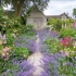 Gardens of Britain丨生机勃勃的英式花境，植物丰富多彩