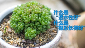0a8147b2ea08e91fd4ebed848f5b87c6019d0d42.jpg@280w_158h_1c_100q.jpg